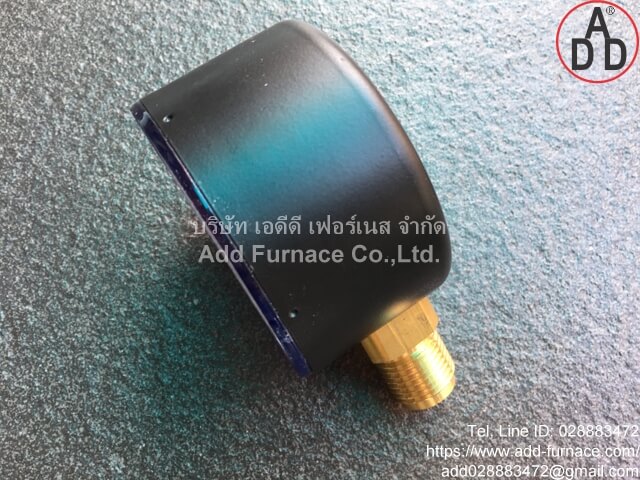 Dungs Pressure Gauge:0~600mbar (2)